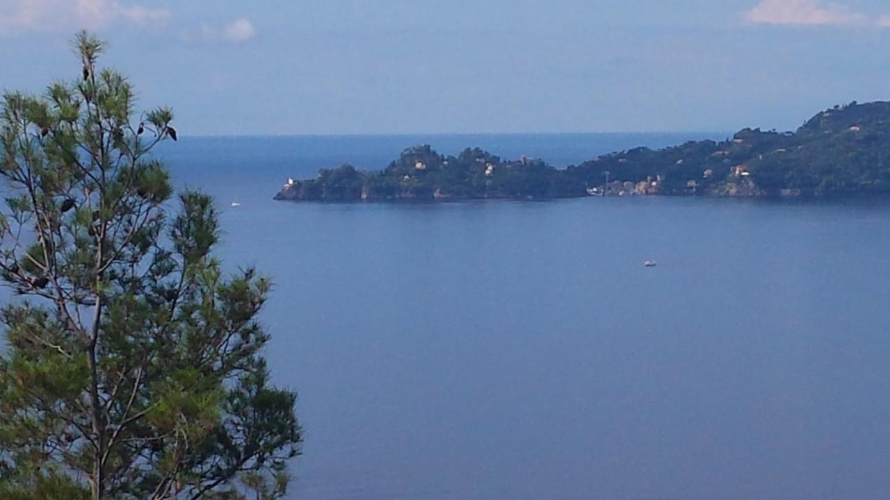 Vicino A Portofino E Alle Cinque Terre - Near Portofino And Cinque Terre Zoagli Zewnętrze zdjęcie