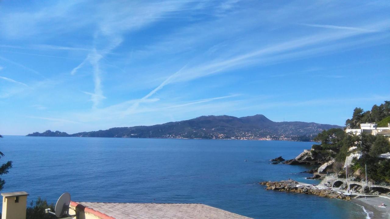 Vicino A Portofino E Alle Cinque Terre - Near Portofino And Cinque Terre Zoagli Zewnętrze zdjęcie
