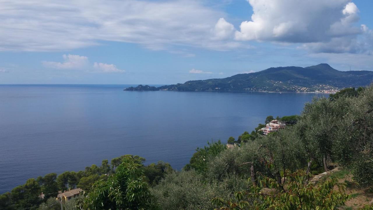 Vicino A Portofino E Alle Cinque Terre - Near Portofino And Cinque Terre Zoagli Zewnętrze zdjęcie